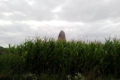 Sito Megalitico Menhir de Champ Dolent Dol-de-Bretagne Bretagna Francia 33
