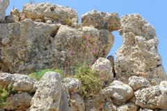 Ggantija-Tempio-Megalitico-Gozo-Malta-4