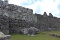 Mura-Poligonali-Incisioni-Altari-Edifici-Rupestri-Megaliti-Machu-Picchu-Aguas-Calientes-Urubamba-Cusco-Perù-126