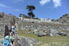 Mura-Poligonali-Incisioni-Altari-Edifici-Rupestri-Megaliti-Machu-Picchu-Aguas-Calientes-Urubamba-Cusco-Perù-49