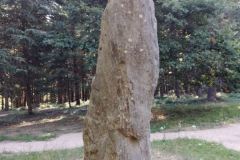Sito Megalitico Menhir de Menat Puy de Dome Auvergne Rhone Alpes Francia 5